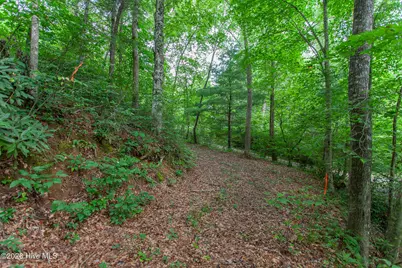 Lot 8-10 Castlewood Road, Robbinsville, NC 28771 - Photo 9