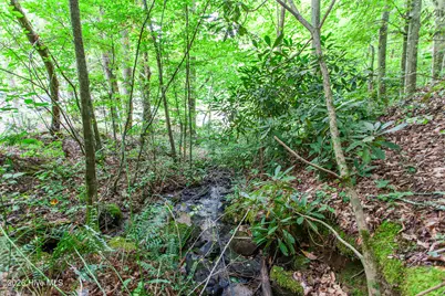 Lot 8-10 Castlewood Road, Robbinsville, NC 28771 - Photo 15