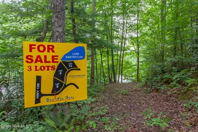 Lot 8-10 Castlewood Road, Robbinsville, NC 28771 - Photo 3