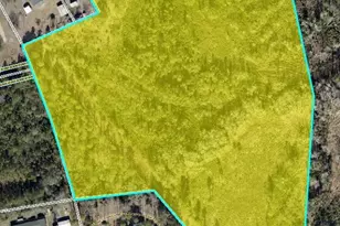 000 Willis Farm Tract-3 Rd, Newport, NC 28570 - Photo 1
