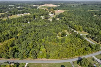Tbd Nc-43, Nashville, NC 27856 - Photo 9