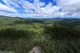 364 Brasstown Hills Rd, Brasstown, NC 28902 - Photo 47
