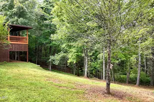 364 Brasstown Hills Rd, Brasstown, NC 28902 - Photo 43