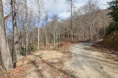 Lot 20 Walnut Cove Branch, Robbinsville, NC 28771 - Photo 13