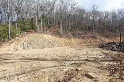 Lot 20 Walnut Cove Branch, Robbinsville, NC 28771 - Photo 25