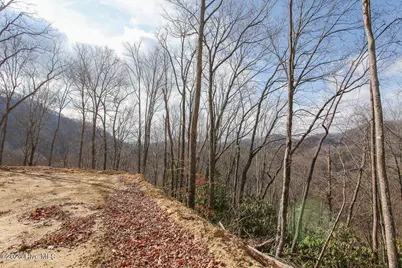 Lot 20 Walnut Cove Branch, Robbinsville, NC 28771 - Photo 27