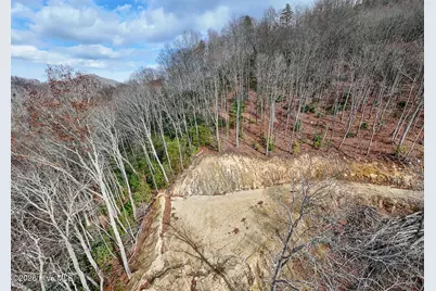 Lot 20 Walnut Cove Branch, Robbinsville, NC 28771 - Photo 7