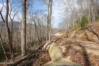 Lot 20 Walnut Cove Branch, Robbinsville, NC 28771 - Photo 21