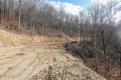Lot 20 Walnut Cove Branch, Robbinsville, NC 28771 - Photo 29