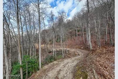 Lot 20 Walnut Cove Branch, Robbinsville, NC 28771 - Photo 3