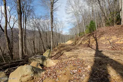 Lot 20 Walnut Cove Branch, Robbinsville, NC 28771 - Photo 19