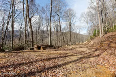 Lot 20 Walnut Cove Branch, Robbinsville, NC 28771 - Photo 17
