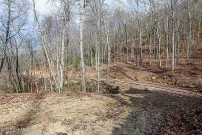 Lot 20 Walnut Cove Branch, Robbinsville, NC 28771 - Photo 15
