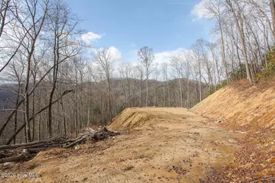 Lot 20 Walnut Cove Branch, Robbinsville, NC 28771 - Photo 23