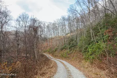 Lot 20 Walnut Cove Branch, Robbinsville, NC 28771 - Photo 31