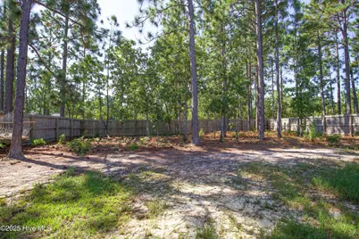 1385 Whitney Drive, Aberdeen, NC 28315 - Photo 39