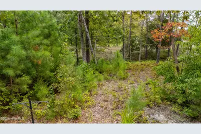 174 Marsh Run, Oriental, NC 28571 - Photo 49
