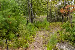 174 Marsh Run, Oriental, NC 28571 - Photo 49
