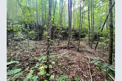 00 Collett Creek Road, Andrews, NC 28901 - Photo 9