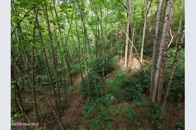 00 Collett Creek Road, Andrews, NC 28901 - Photo 5