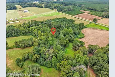 0 Dewitt Gooden Road, Elizabethtown, NC 28337 - Photo 3