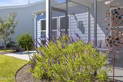 3205 Laughing Gull Terrace, Wilmington, NC 28412 - Photo 5