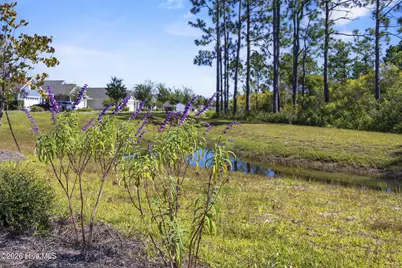 3205 Laughing Gull Terrace, Wilmington, NC 28412 - Photo 53
