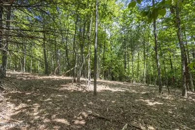 34 Ac Donley Road, Murphy, NC 28906 - Photo 27