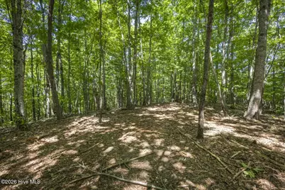 34 Ac Donley Road, Murphy, NC 28906 - Photo 13