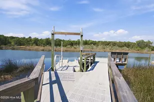 306 Osprey Point Dr, Sneads Ferry, NC 28460 - Photo 49