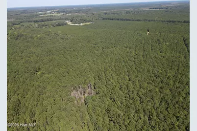 Tbd Bryantown Road, Jackson, NC 27845 - Photo 5