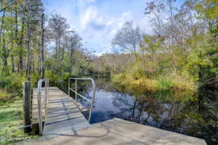 217 Bronze Dr, Rocky Point, NC 28457 - Photo 49