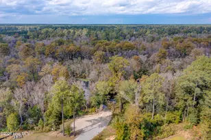 217 Bronze Dr, Rocky Point, NC 28457 - Photo 51