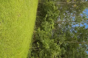 2991 Hardsmith St, Shallotte, NC 28470 - Photo 35