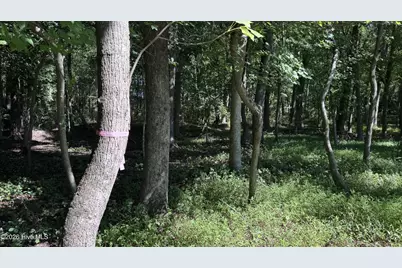 6033 Homestead Road, Elm City, NC 27822 - Photo 37