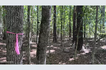 6033 Homestead Road, Elm City, NC 27822 - Photo 27