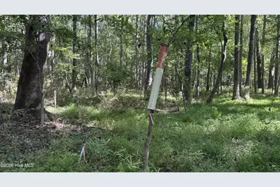 6033 Homestead Road, Elm City, NC 27822 - Photo 31