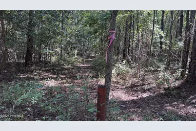6033 Homestead Road, Elm City, NC 27822 - Photo 25