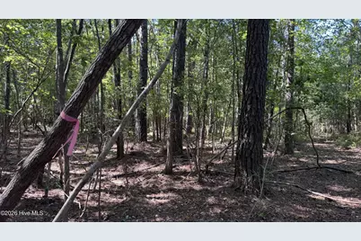6033 Homestead Road, Elm City, NC 27822 - Photo 23