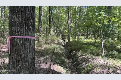 6033 Homestead Road, Elm City, NC 27822 - Photo 29