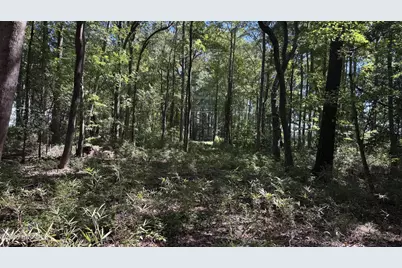 6033 Homestead Road, Elm City, NC 27822 - Photo 41