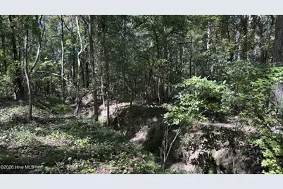 6033 Homestead Road, Elm City, NC 27822 - Photo 39