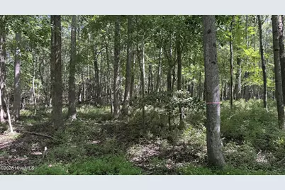 6033 Homestead Road, Elm City, NC 27822 - Photo 33