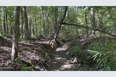 6033 Homestead Road, Elm City, NC 27822 - Photo 35