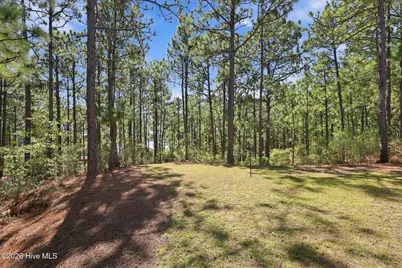 163 Otter Drive, Seven Lakes, NC 27376 - Photo 57