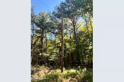 Lot 5 Coleman Loop Road, Hillsborough, NC 27278 - Photo 15
