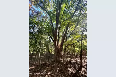 Lot 5 Coleman Loop Road, Hillsborough, NC 27278 - Photo 5