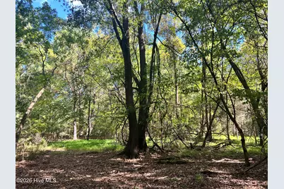 Lot 5 Coleman Loop Road, Hillsborough, NC 27278 - Photo 7