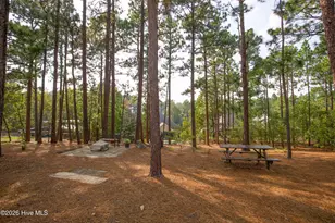 120 Fawnwood Dr, Seven Lakes, NC 27376 - Photo 47