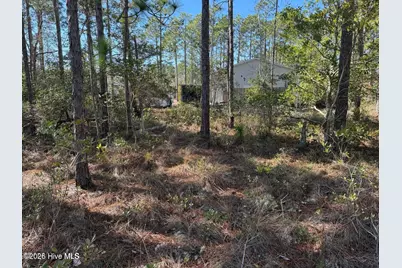 100 Bridges Road, Southport, NC 28461 - Photo 9